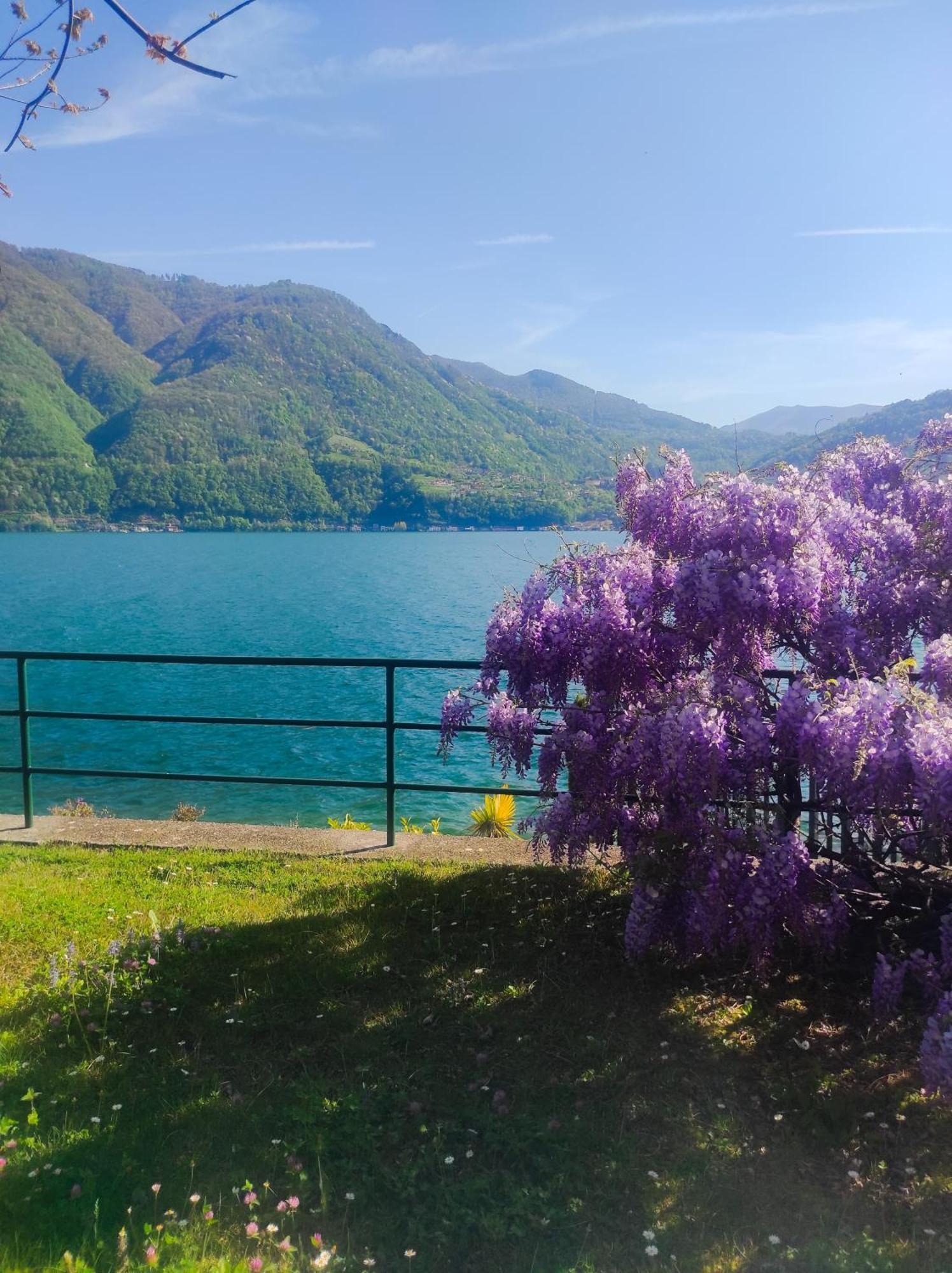 Lfsuite Luganolake Terrazza Spiaggia Privata Parking Wi-Fi Netflix Porlezza Esterno foto